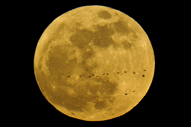 7147028959_b62727876d_z (1)